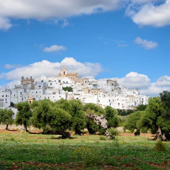 Città Bianca a Brindisi